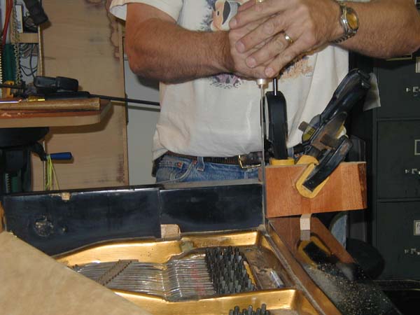 bosendorfer plate action